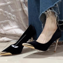 2025 Autumn and Winter Royal Sister Style Niche Thin Heel High Heels Light Luxury Black Suede Metal Pointed Toe Design High Heels