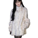 Stand Collar Faux Lamb Fur Coat for Women, New Autumn and Winter Thick Warm Fur Coat Top Trendy