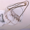 Fox Fur Women's Bags For Woman 2026 New Natueal Fox Fur Luxury Bags Designers Crossbody Bags Plush Women's Shoulder Bag